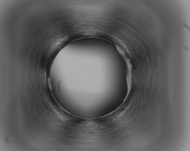 X0000091300589200708241053