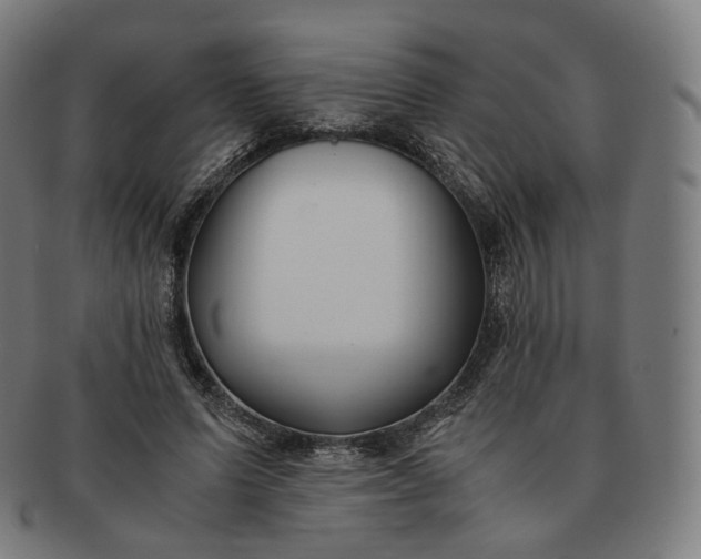 X0000091300591200708241053