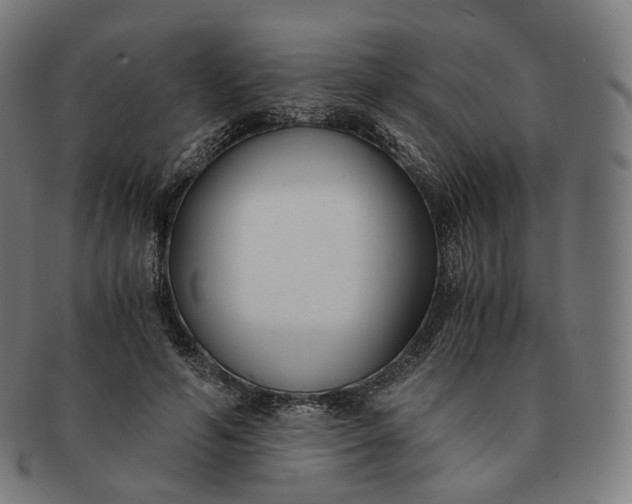 X0000091300594200708241053