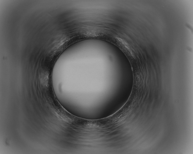 X0000091300596200708241053