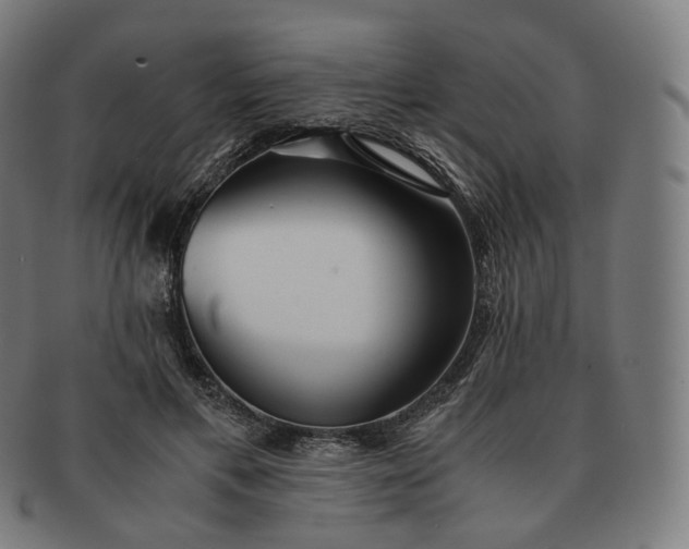 X0000091300597200708241053