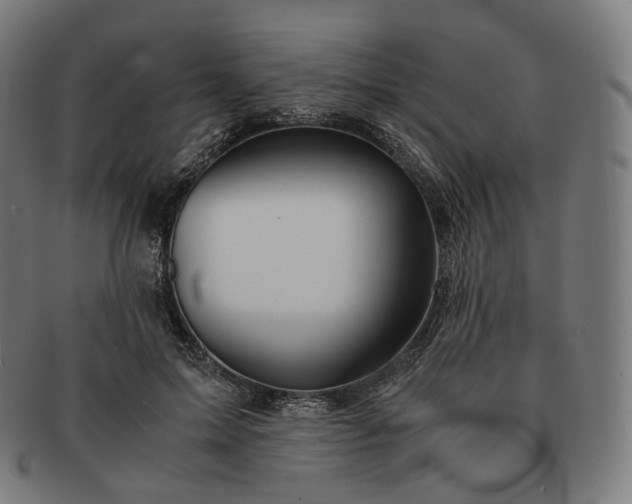 X0000091300599200708241053