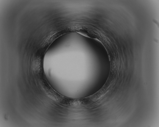 X0000091300600200708241053