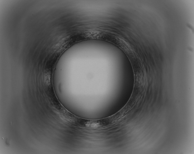 X0000091300602200708241053