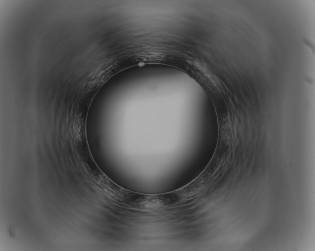 X0000091300604200708241053