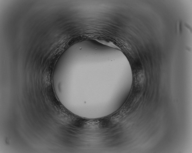 X0000091300606200708241053