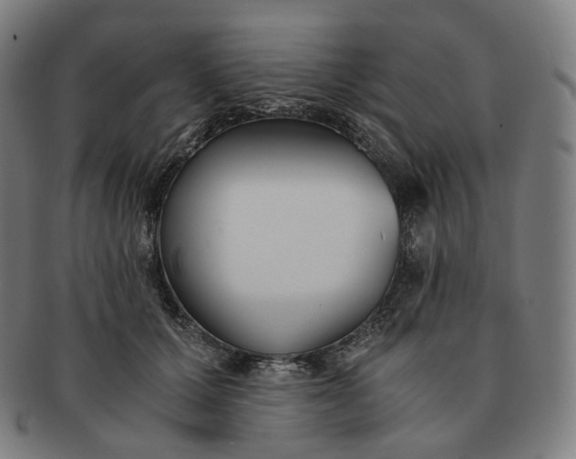 X0000091300607200708241053