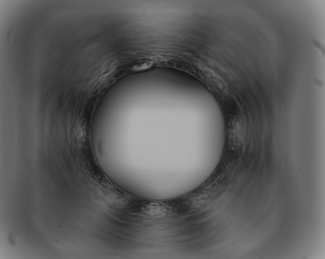 X0000091300608200708241053