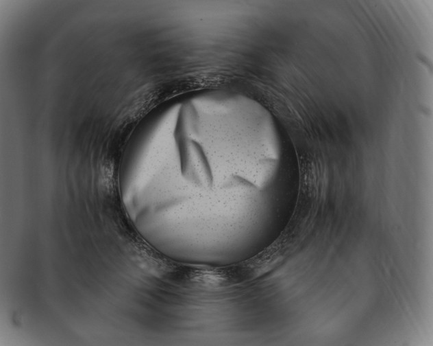 X0000091300610200708241053