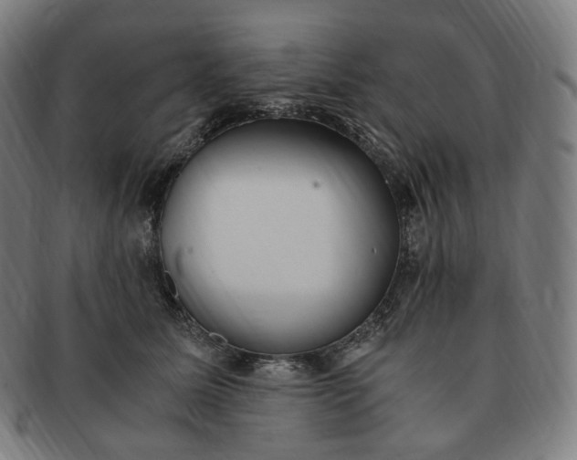 X0000091300611200708241053