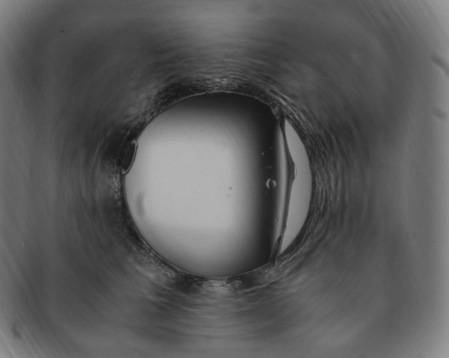 X0000091300613200708241053