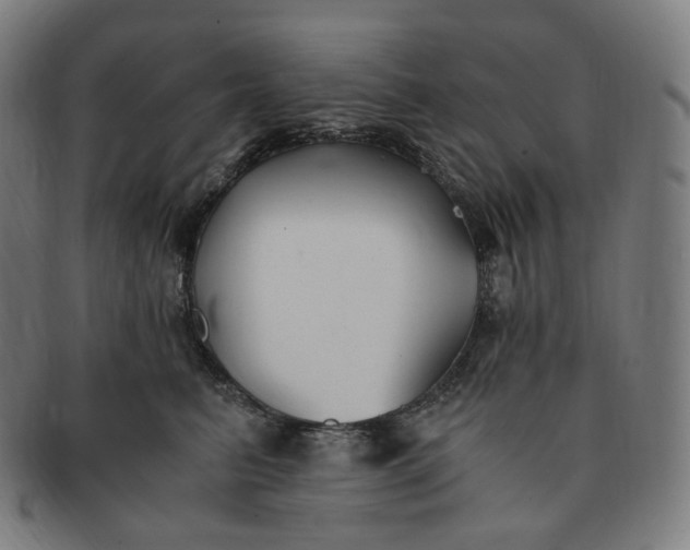 X0000091300615200708241053