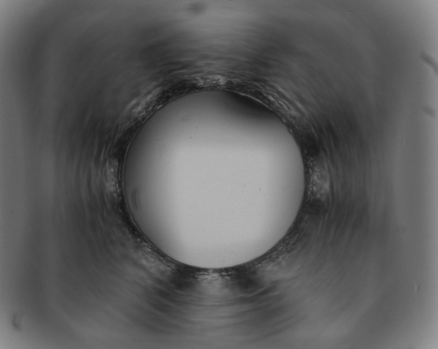 X0000091300616200708241053