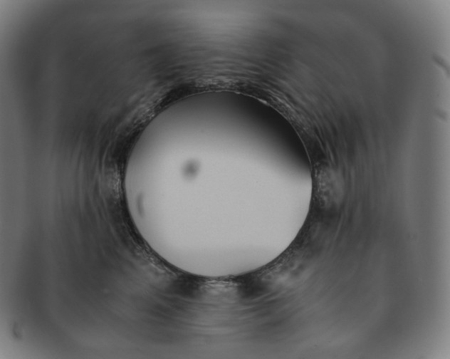 X0000091300617200708241053