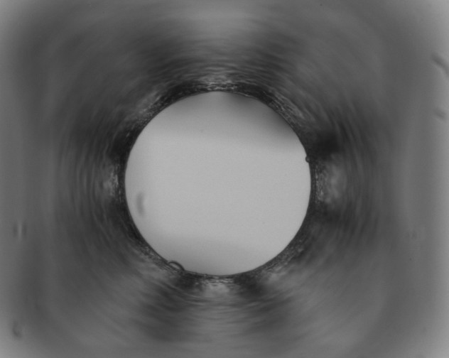 X0000091300618200708241053