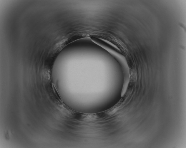 X0000091300621200708241053