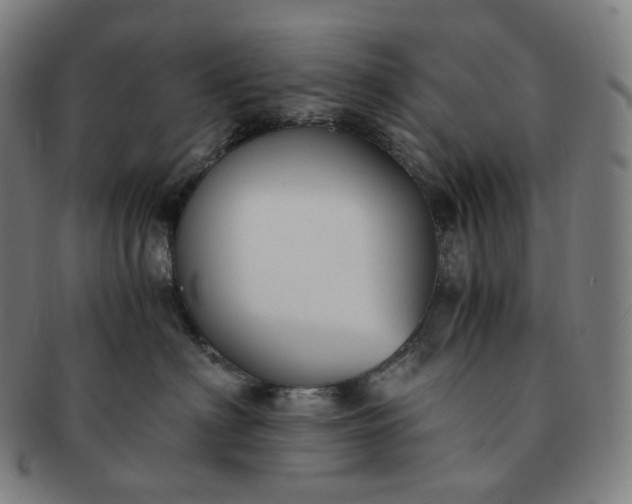 X0000091300622200708241053