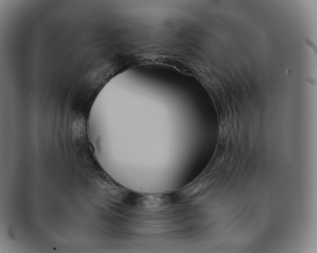 X0000091300623200708241053