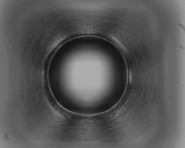 X0000091300627200708241052