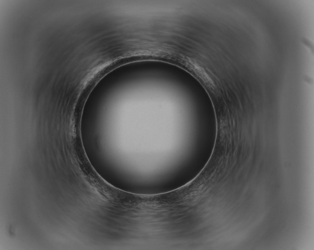 X0000091300628200708241052