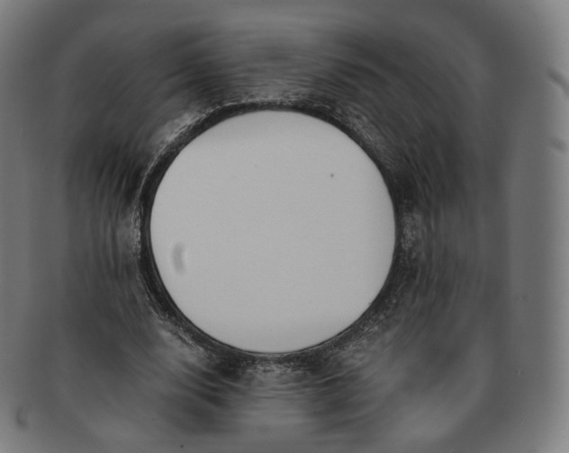 X0000091300632200708241052