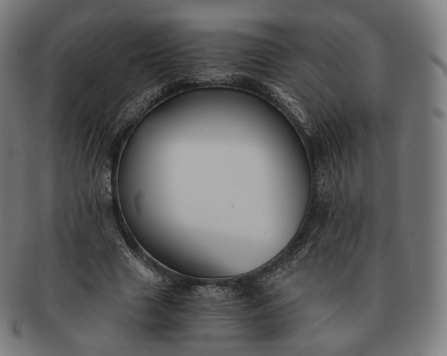 X0000091300633200708241052