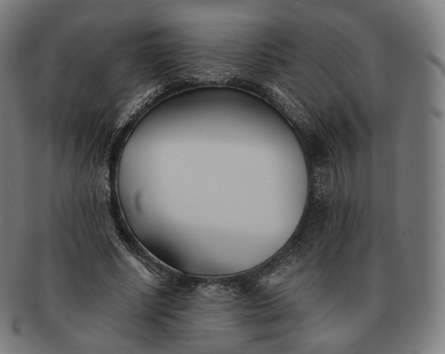 X0000091300634200708241052