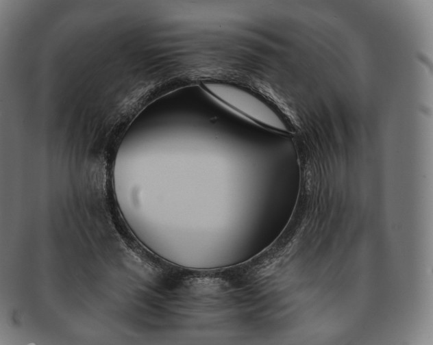 X0000091300637200708241052