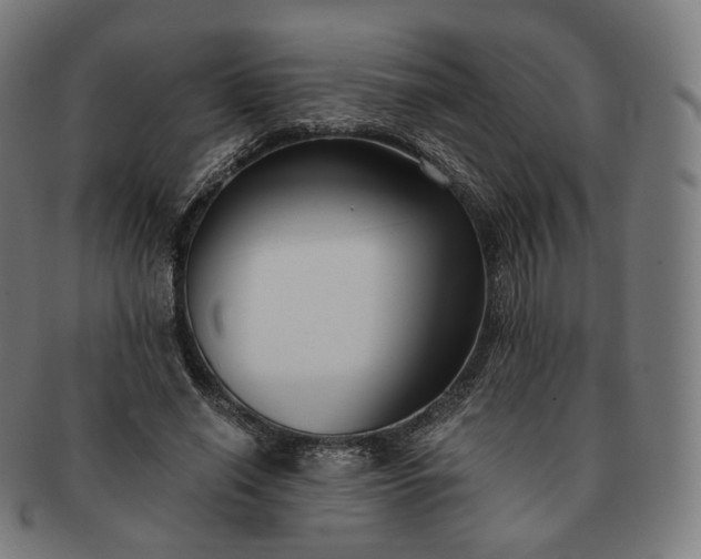 X0000091300638200708241052