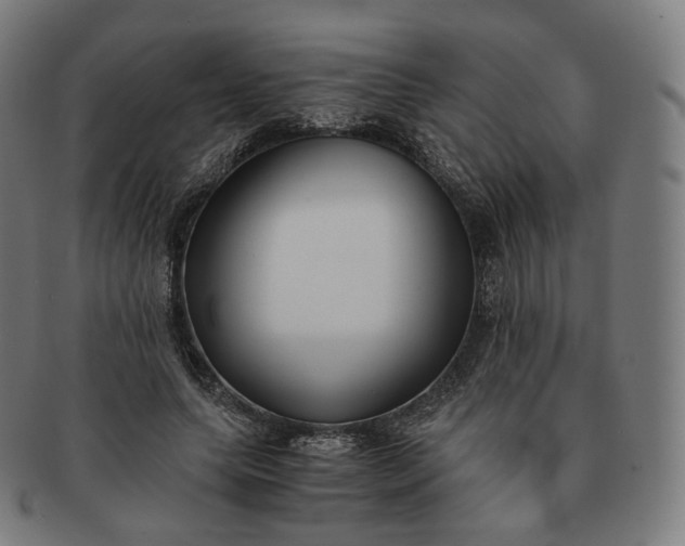 X0000091300639200708241052