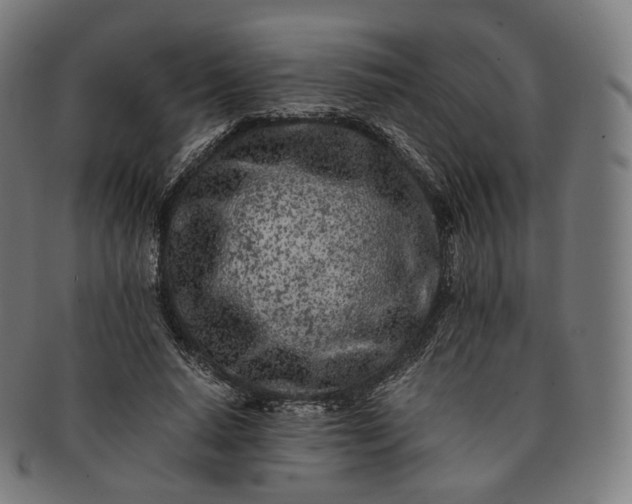 X0000091300640200708241052