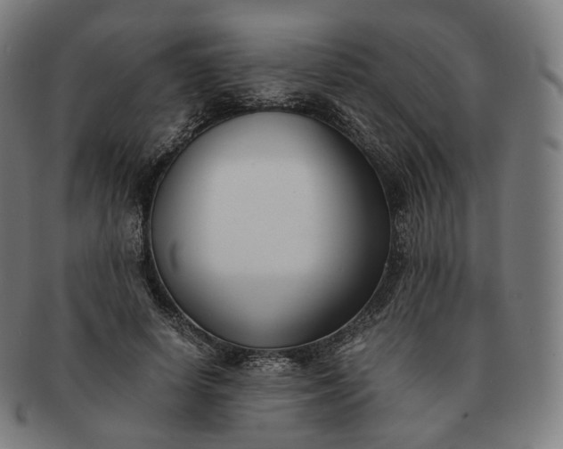 X0000091300642200708241052