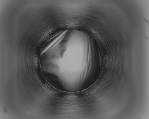 X0000091300644200708241052