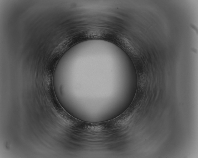 X0000091300645200708241052