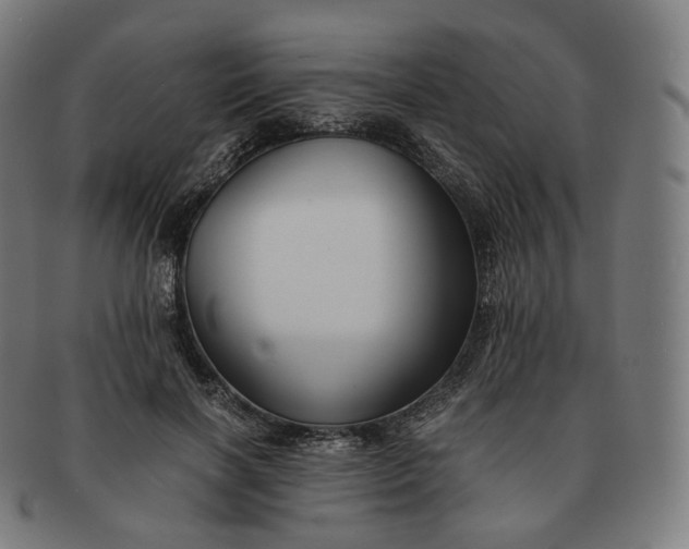 X0000091300646200708241052