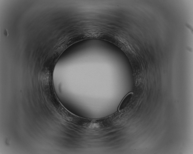 X0000091300647200708241052