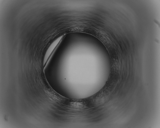 X0000091300649200708241052