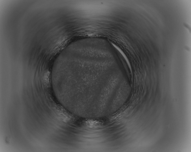 X0000091300650200708241052