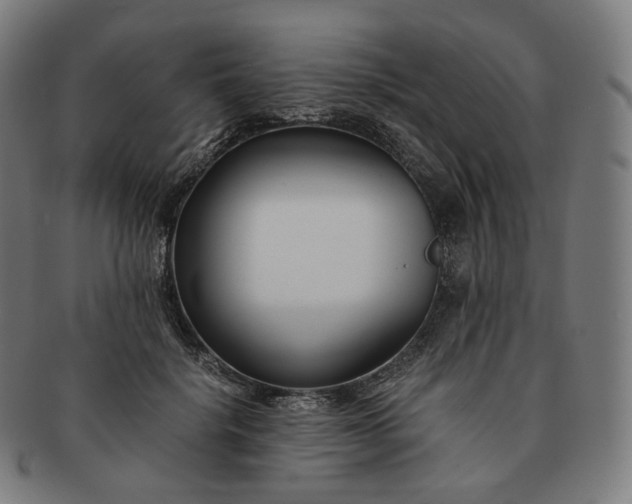 X0000091300652200708241052