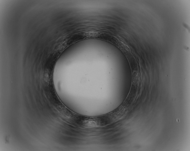 X0000091300655200708241052