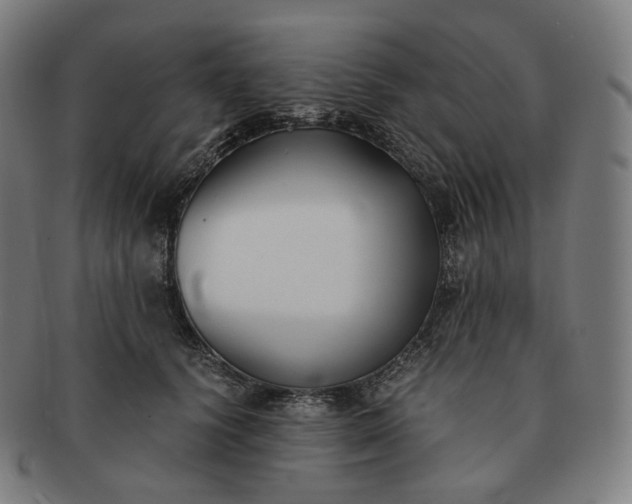 X0000091300656200708241052