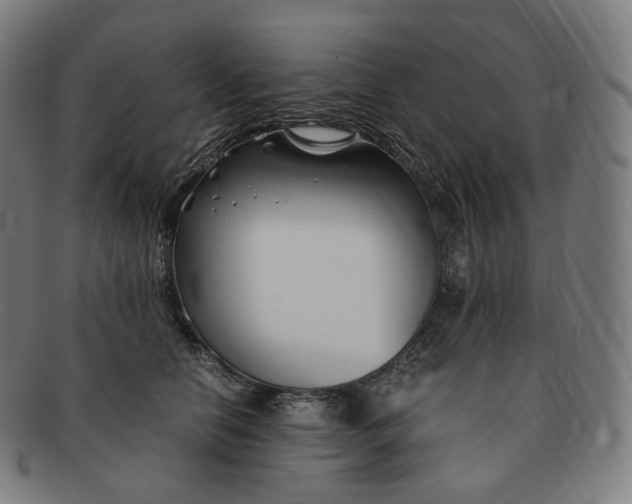 X0000091300658200708241052