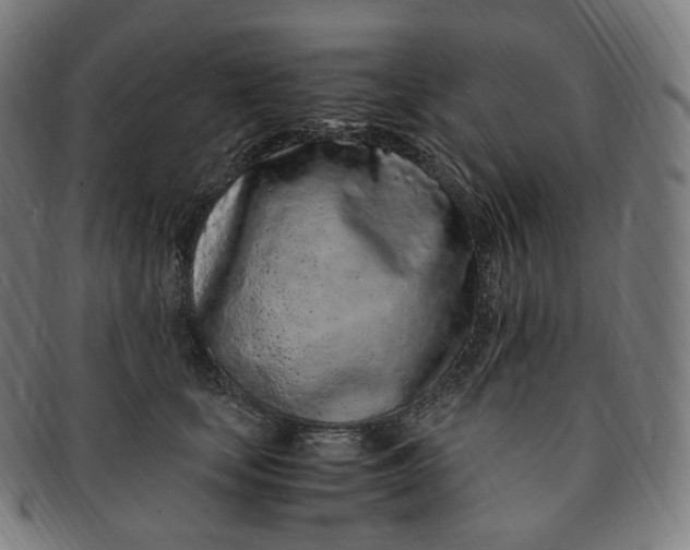 X0000091300659200708241052