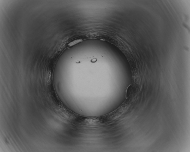 X0000091300660200708241052