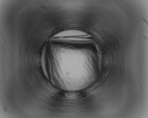 X0000091300661200708241052