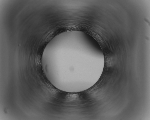 X0000091300665200708241052