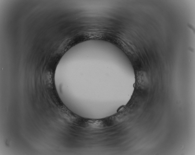 X0000091300667200708241052