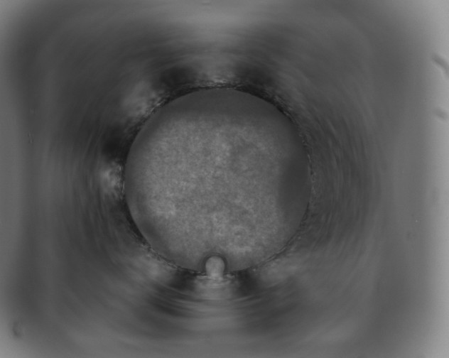 X0000091300672200708241053