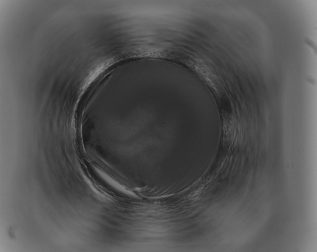 X0000091300674200708241052