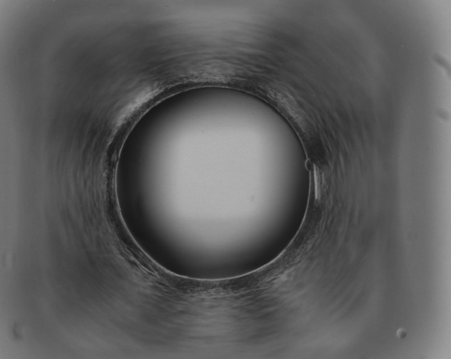 X0000091300675200708241051